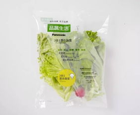 蘇州松下新植物工廠蔬菜正式出貨，科技農業開啟綠色新篇章